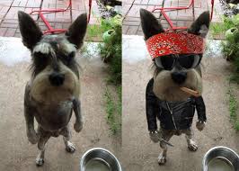 Alternatively, wouldn't it be funny to take an old. 20 Interesting Reddit Communities To Get Lost In Hongkiat