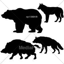 Silhouettes Bear Wolf Animal Silhouette Wolf Silhouette Silhouette Art