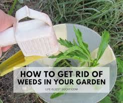 Soak the soil to soften it. 12 Ways To Make Weeds Go Away Naturally Life Is Just Ducky
