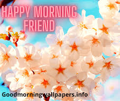 Contents  hide 1 good morning! 199 Good Morning Flower Images Wallpapers Hd Pictures For Whatsapp