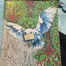 And also with his enemies, teachers and magical creatures. 110 Harry Potter Coloring Book Ideas Harry Potter Coloring Book Harry Potter Harry