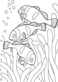 Free Easy To Print Fish Coloring Pages Animal Coloring Pages Fish Coloring Page Easy Coloring Pages