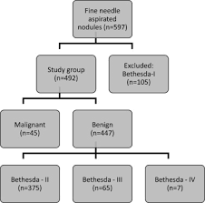 The bethesda classification for thyroid biopsies is effective for clinical management of thyroid background thyroid nodules are very common and often need to be evaluated for cancer. Comparison Of Diagnostic Accuracy Of Acr Tirads American Thyroid Association Ata And Eu Tirads Guidelines In Detecting Thyroid Malignancy European Journal Of Radiology