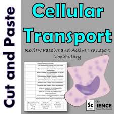 Cell Transport Matching Worksheet For Review Or Assessment Cell Transport Interactive Vocabulary Science Resources