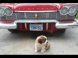 Image result for Satin Gray 1957 Plymouth