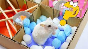 Together we will beat cancer in this delightful game, very young children can have fun and learn while putting together five sim. Two Hamsters Mochi And Panda Running In Jigsaw Puzzles Maze Diy Pet Toys Hamster Diy Stuffed Animals