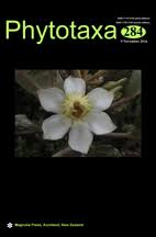 Image result for Abrodictyum rigidum