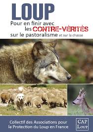Consultez tous les jours fériés de l'année 2019 en france. Biologie Et Presence En France Ferus