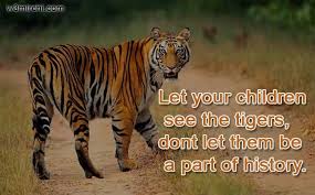 Pm modi in his address said, the use of ethanol extracted from sugarcane for mixing in petrol will benefit. 30 Inspirational Quotes With Tiger Images Audi Quote