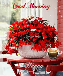 Good morning images with flowers are and always have been in the trending side because flowers in itself are a cure to the heart body and mind. Happy Monday Good Morning Gif Happy Monday Good Morning Good Day Discover Share Gifs