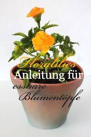 Blumentopf Torte Floralilies Zucker Seite Blumentopf Blumen Anleitungen