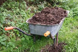 Or, if you have any of these trees in your garden, collect old or dried pieces of wood. How To Get Free Mulch From 5 Different Sources
