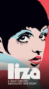 Liza: A Truly Terrific Absolutely True Story