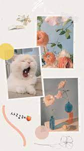 Pinterest Janna Seni Buku Kolase Foto Objek Gambar
