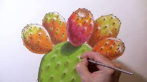 It is important only to draw a general outline of the fruit correct. Let S Draw Prickly Pears Youtube