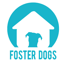 However, through participating in this program, you will be able to learn a lot about yourself and experience a rescue dog's wonderful. Foster Dogs Nyc