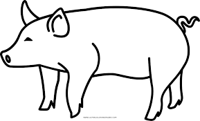 Porco Desenho Para Colorir Ultra Coloring Pages