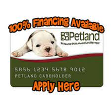 A credit card's interest rate is the price you pay to the company for the ability to borrow money. Thank You For Your Reservation Petland Dallas Tx