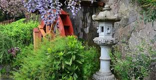 Japanische Pflanzen Asiatisches Flair Fur Deinen Garten Gartenmagazine De