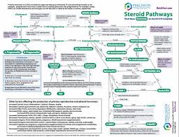 Hormonal Charts Pathways Hack Stasis Forum