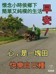 pin on 早安語錄
