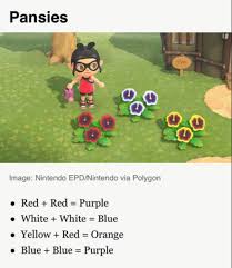 New horizons continues to delight fans with new features and game mechanics the wand requires one white lily and 3 star fragments. Acnh Flower Hybrid Guide Animal Crossing Fish New Animal Crossing Animal Crossing Game