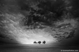 Thomas Finkler Photography Fine Art Landscape Photography Dramatic Sky 3 Trees G Fine Art Landscape Photography Black And White Landscape White Photography
