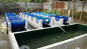 140 Aquaponics In The Philippines Ideas Aquaponics System Aquaponics Aquaculture