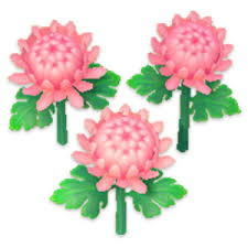 Check out the type lists below if you wish to decorate with a specific cosmos flowers found in the wild and available to buy as seeds come in red, yellow, and white color varieties, while hybrid cosmoses come in black. Animal Crossing Flower Images