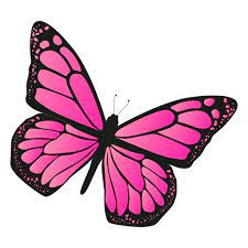 Detailed Pink Butterfly Vector Ad Sponsored Affiliate Pink Butterfly Vector Detailed Pink Butterfly Butterflies Vector Butterfly Drawing