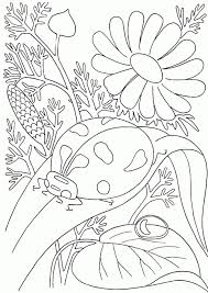 I M Grateful For Nature Insect Coloring Pages Animal Coloring Pages Spring Coloring Pages