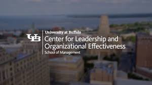 Center For Leadership And Organizational Effectiveness