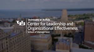 center for leadership and organizational effectiveness