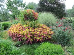 Award Winning Containers And Seasonal Flowers Flowerscape Seasonal Flowers Plants Diy Garden Projects