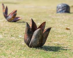 Huge Congratulations To Queensland College Of Art Griffith University Bachelor Of Fine Art Honours A College Art Postgraduate Students Bachelor Of Fine Arts