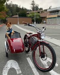 Image result for bicycle sidecar