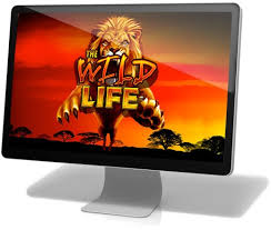 Igt launched wildlife pokie in 2017, which features 5 reels and 10 paylines with free online access and mobile compatibility. Wild Life Slot Free Slot Machine Game By Igt