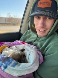 Shih tzu puppy recommendations for Christmas gift