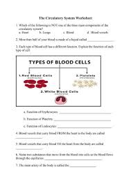 Image result for Cardiovascular Worksheets