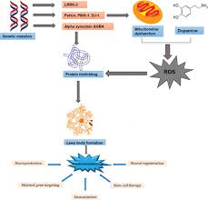 Novel Targets for Parkinson's Disease: Addressing Different Therapeutic  Paradigms and Conundrums