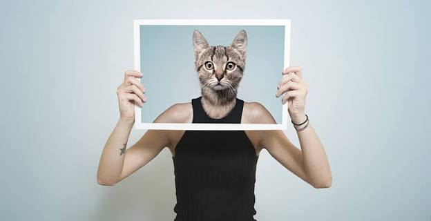 Applications de retouche photo : les conseils de la CNIL | CNIL