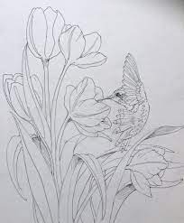 Jody Bergsmas Blog Drawings Art Drawings Flower Drawing