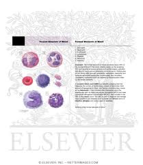 Blood distributes nearly everything that is carried from one area in the body to another place within the body. Formed Elements Of Blood