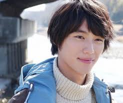 He only auditioned for the 'kamen rider' 'kamen rider' is an extremely popular superhero franchise in japan, and it mostly comprises tv shows and films, which are based on manga of the same name. Sota Fukushi Bio Facts Family Life Of Japanese Actor