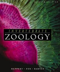 Amazon Com Invertebrate Zoology A Functional Evolutionary Approach 9780030259821 Edward E Ruppert Richard S Fox Zoology Invertebrates Cengage Learning