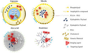 Image result for Ptycholobium contortum