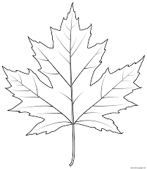 Print Silver Maple Leaf Coloring Pages Leaf Coloring Page Maple Leaf Art Maple Leaf Drawing