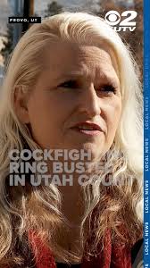 VINEYARD, Utah (KUTV) — The Utah County Sheriff's Office is looking for two  juveniles who appear to ring a Vineyard resident's doorbell while holding a  gun. Azita Bernabe and her family want