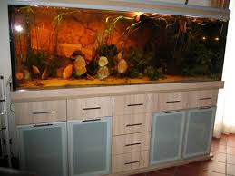 Modern S 200x60x70 Sonderanfertigung Aquariumkombination Rechteck 840l 15mm Eiche Sonoma Exclusiv Silver Geanderz Zu Premium Si Aquarium Modern Und Bodenplatten