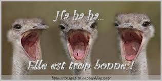 images?q=tbn:ANd9GcRU2H-Z_a9sUqsGPHdLB2Z8rcz6ER_aPAm2lYegFp1x1nKtLqVA